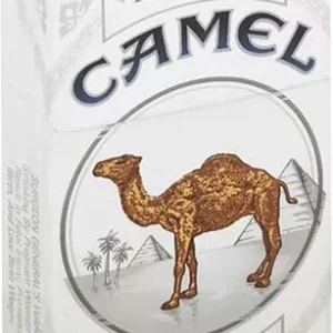 Camel Platinum