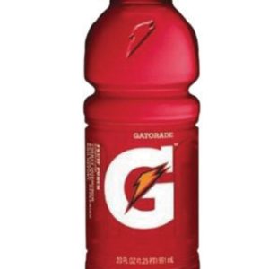 Gatorade Fruit Punch 20oz