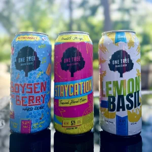 One Tree Raspberry Cider 22oz