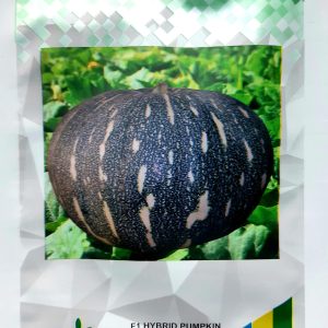 Prairie State Pumpkin 750