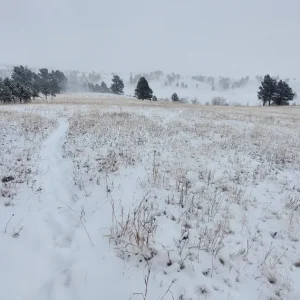 Prairie State Winter White