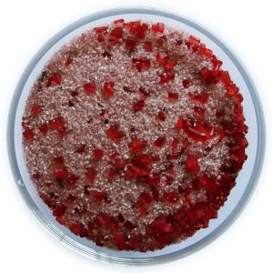 Rokz Cranberry Rimmer