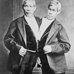 Two Brothers Hvy Hnd Cent/Chin